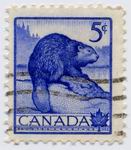 Biberbriefmarke Kanada 1954 5 Cent_TN
