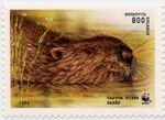 Biberbriefmarke Weissrussland WWF 1995 4 ungestempelt_TN